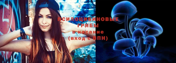 дурь Алексеевка