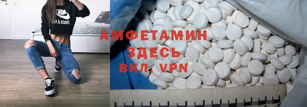 ешки Алексин