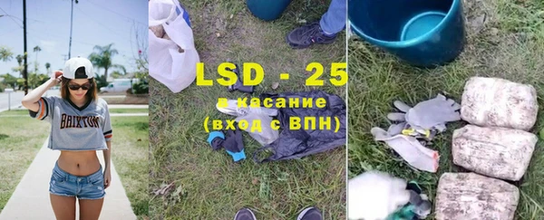 твердый Алзамай
