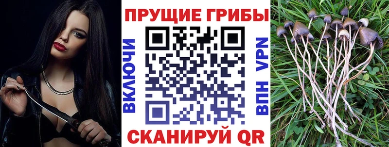 darknet состав Старый Оскол Галлюциногенные грибы мухоморы hydra зеркало